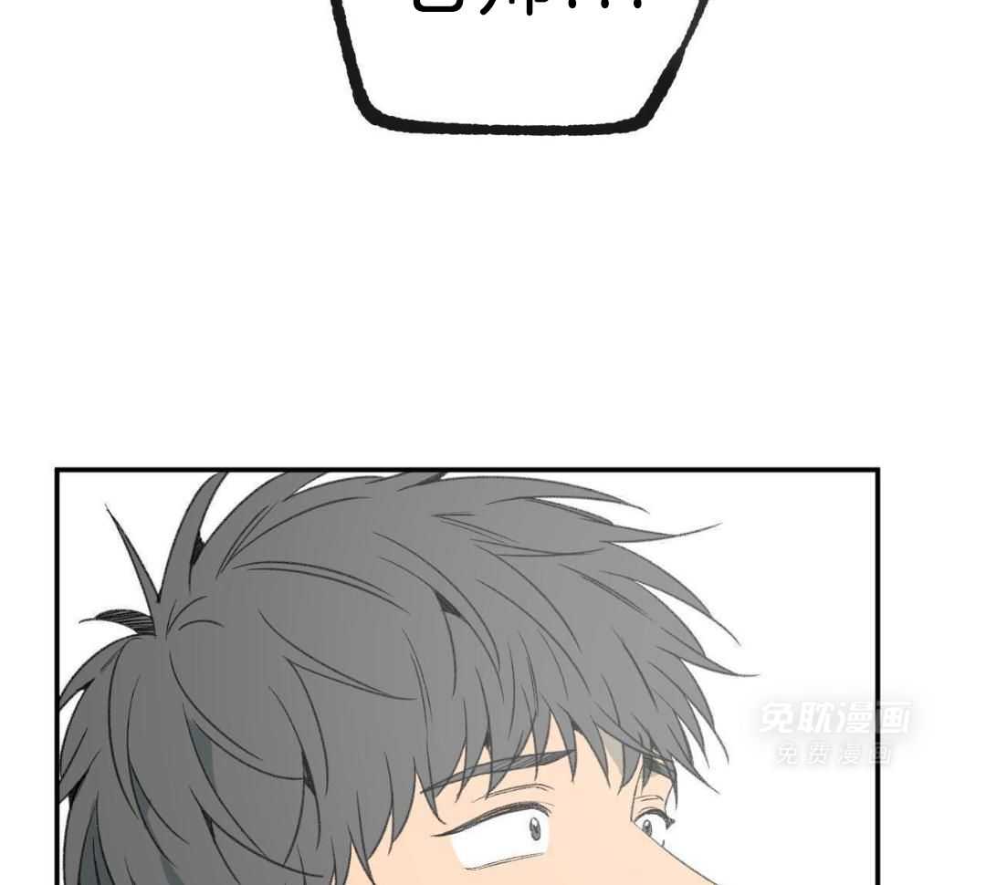 同情的形式（共3季） 第272话 第4页