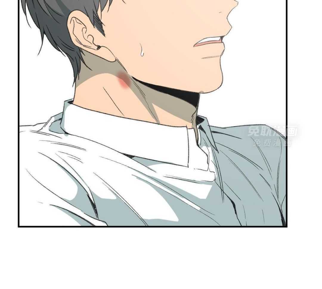 同情的形式（共3季） 第272话 第5页