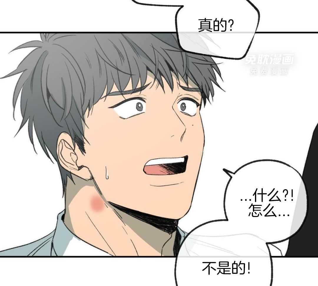 同情的形式（共3季） 第272话 第11页