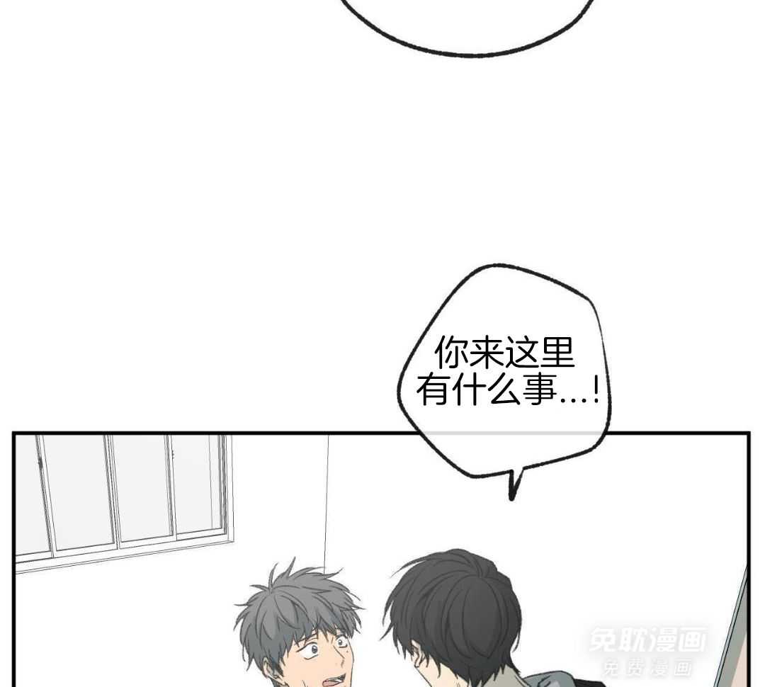 同情的形式（共3季） 第272话 第14页