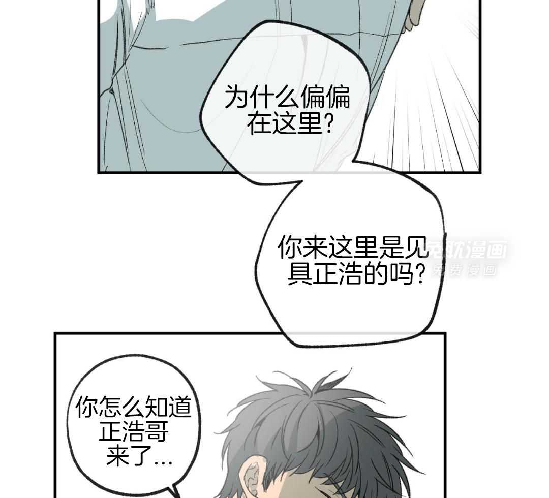 同情的形式（共3季） 第272话 第24页