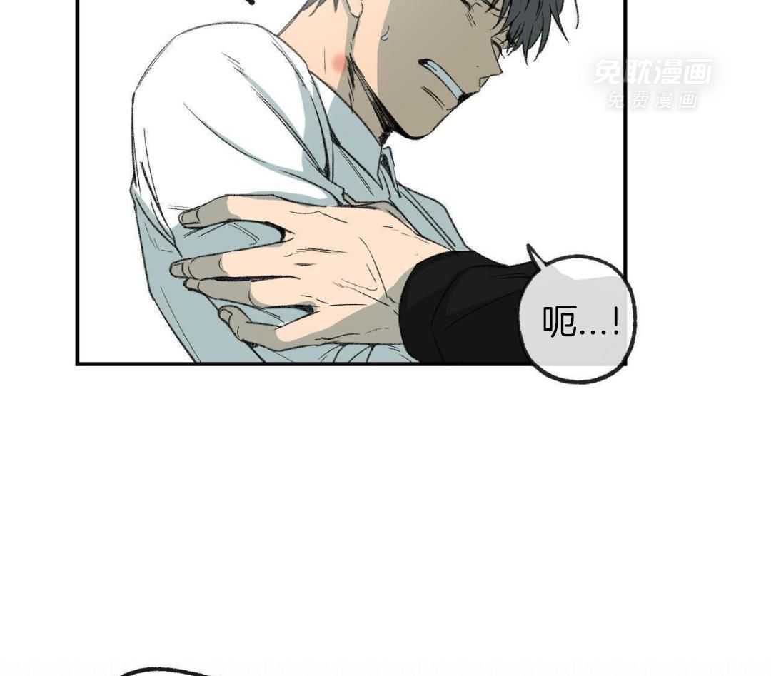 同情的形式（共3季） 第272话 第25页