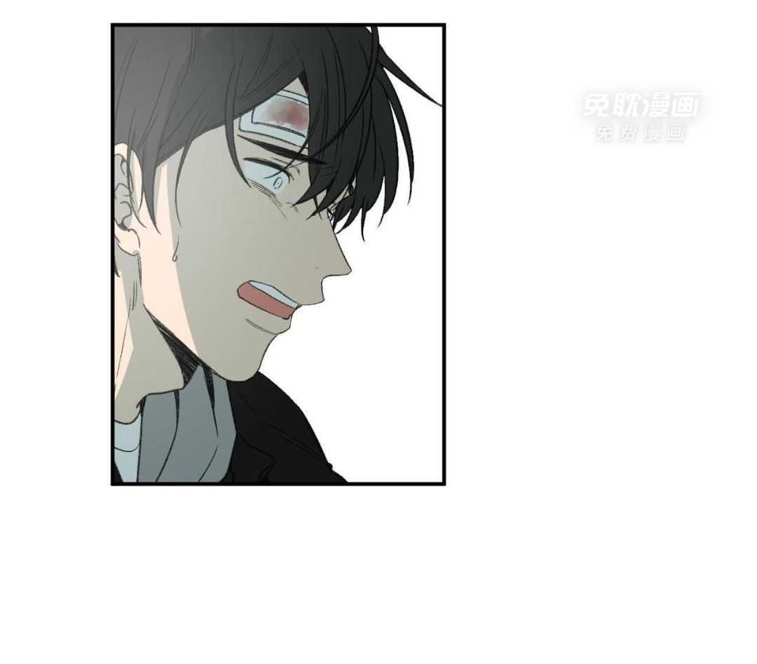 同情的形式（共3季） 第272话 第39页