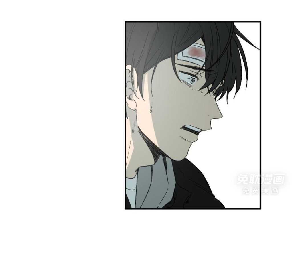 同情的形式（共3季） 第272话 第40页