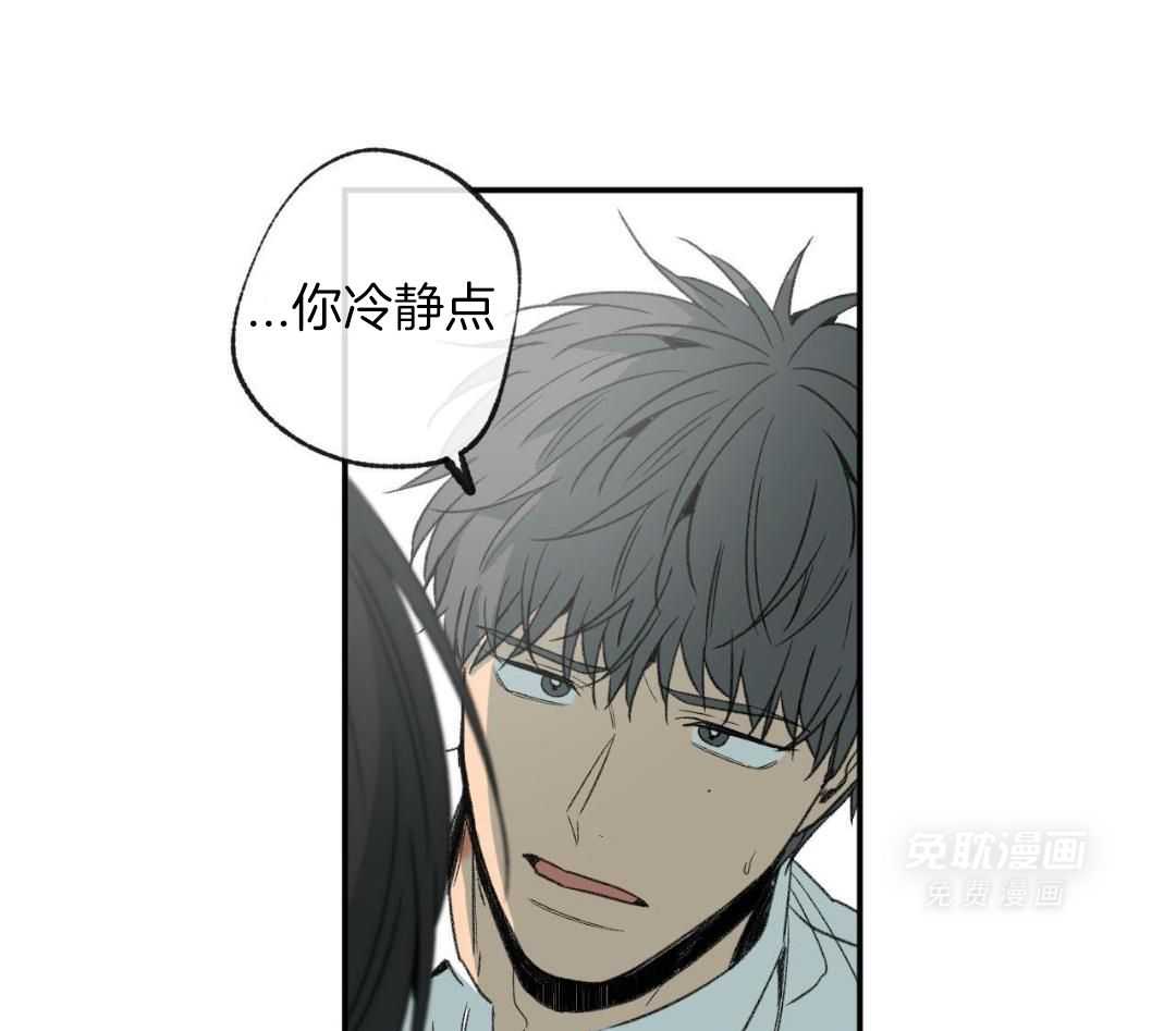 同情的形式（共3季） 第272话 第41页