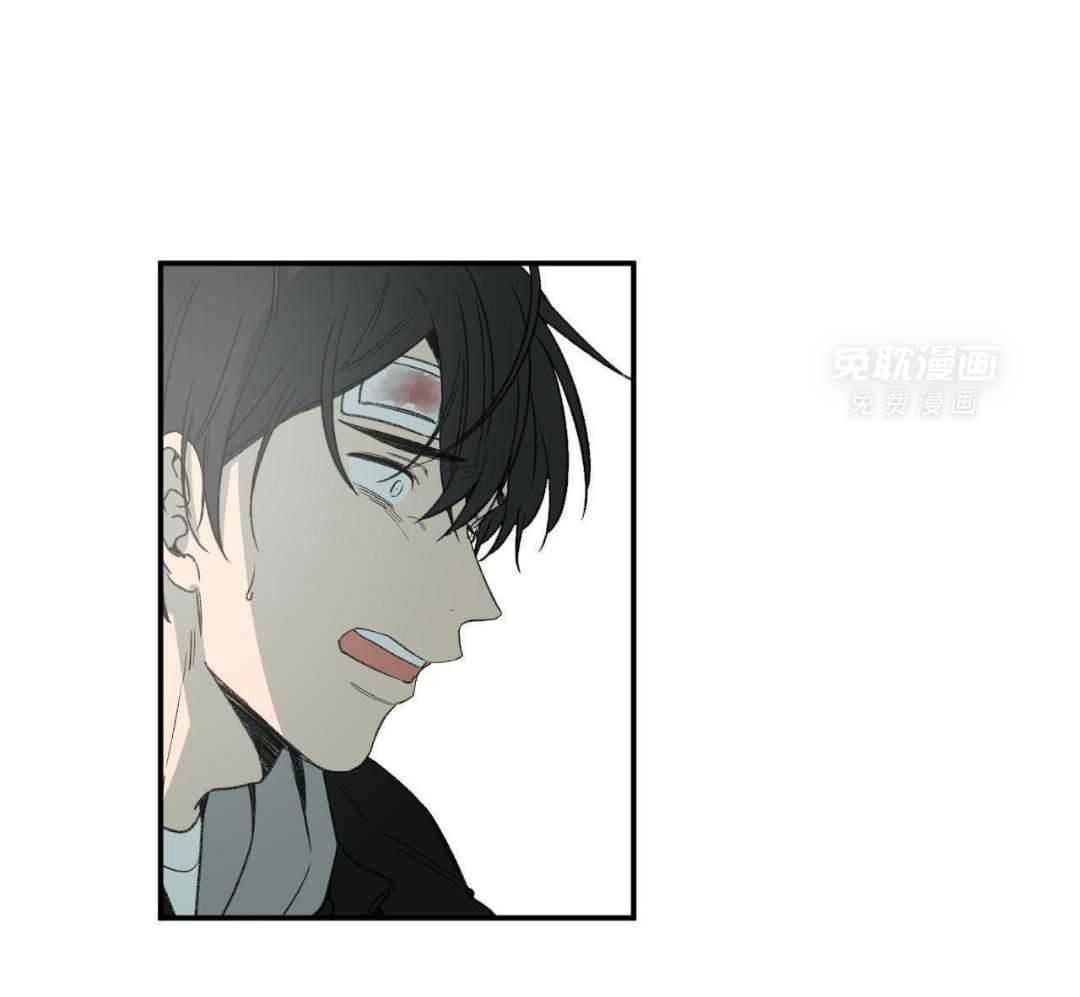 同情的形式（共3季） 第273话 第0页