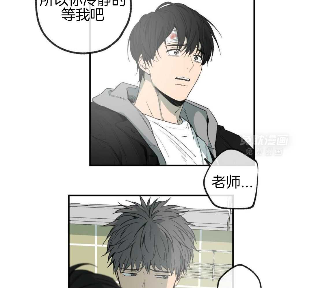 同情的形式（共3季） 第273话 第13页