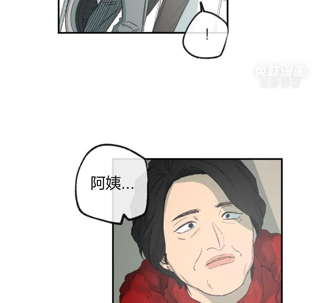 同情的形式（共3季） 第273话 第31页