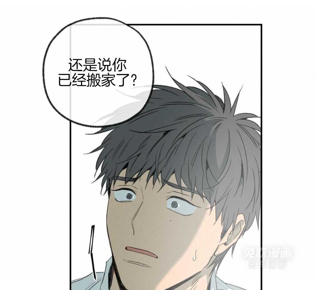 同情的形式（共3季） 第273话 第36页