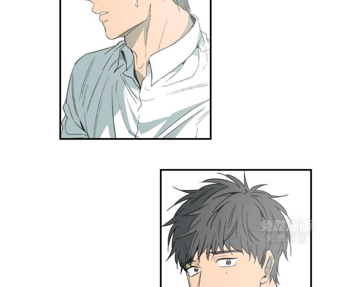 同情的形式（共3季） 第274话 第1页