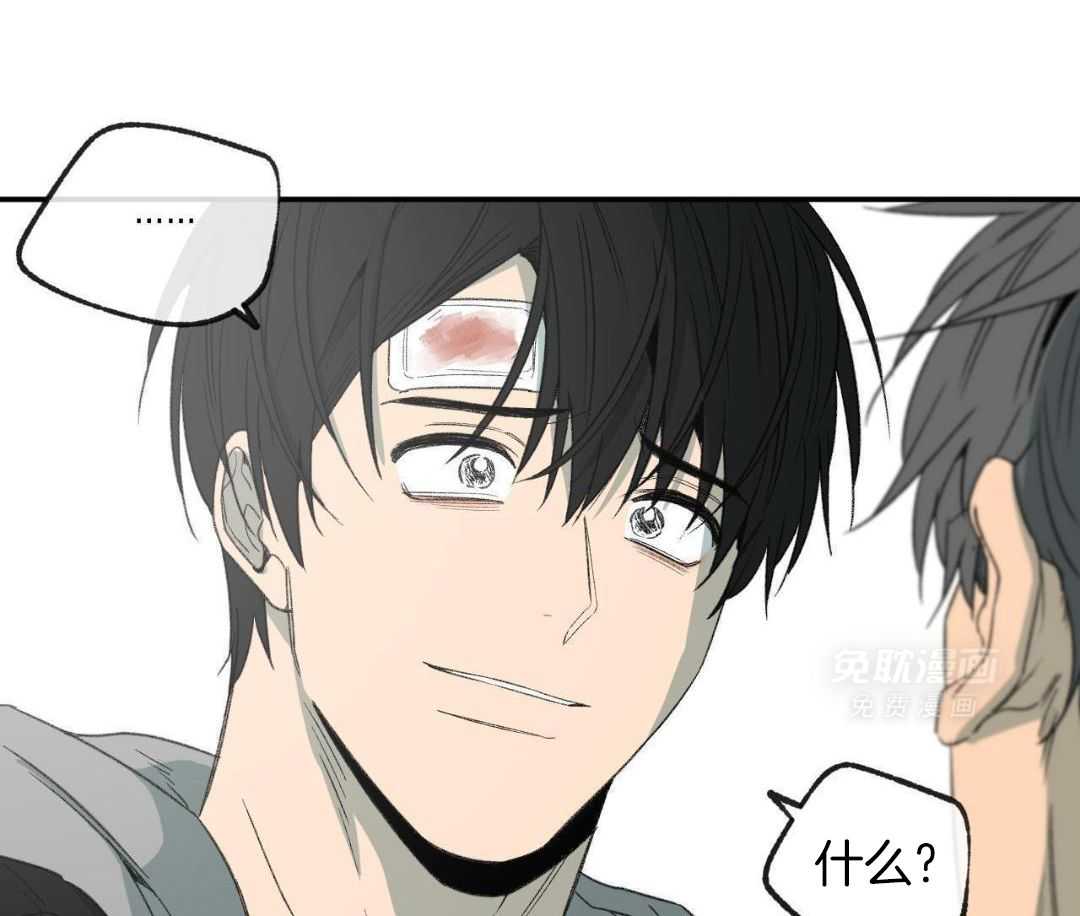 同情的形式（共3季） 第274话 第4页