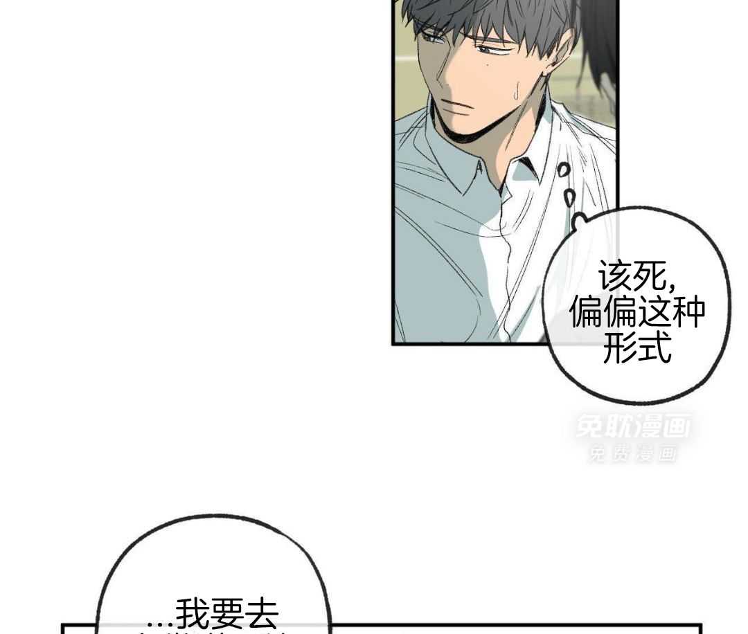 同情的形式（共3季） 第274话 第6页