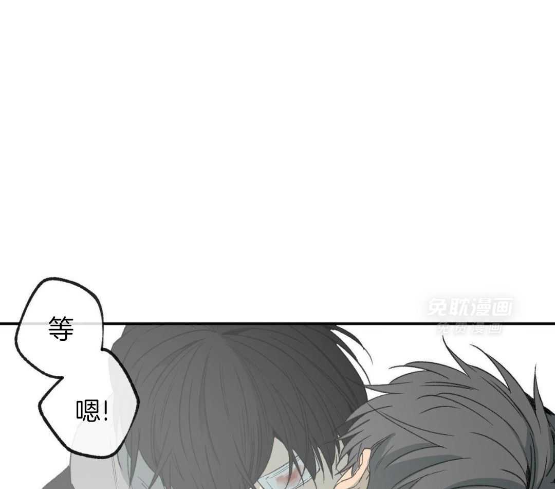 同情的形式（共3季） 第274话 第16页