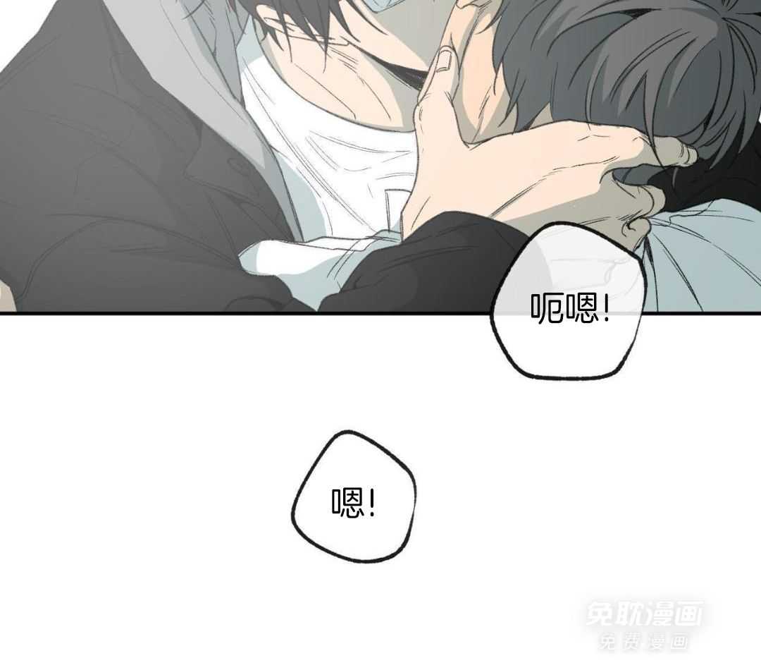 同情的形式（共3季） 第274话 第17页