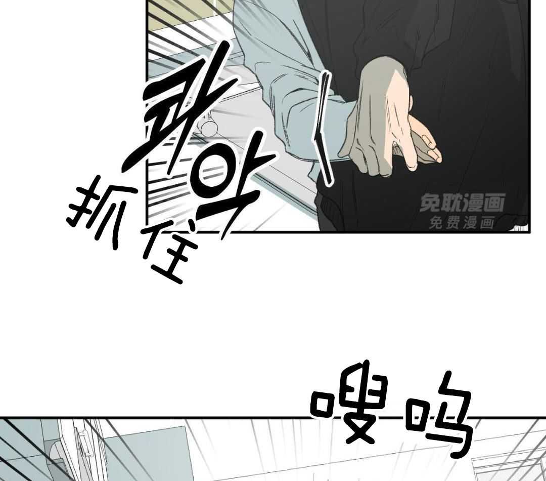 同情的形式（共3季） 第274话 第19页