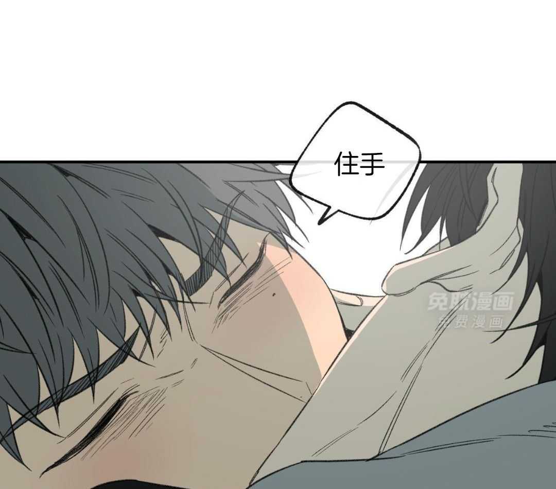 同情的形式（共3季） 第274话 第28页