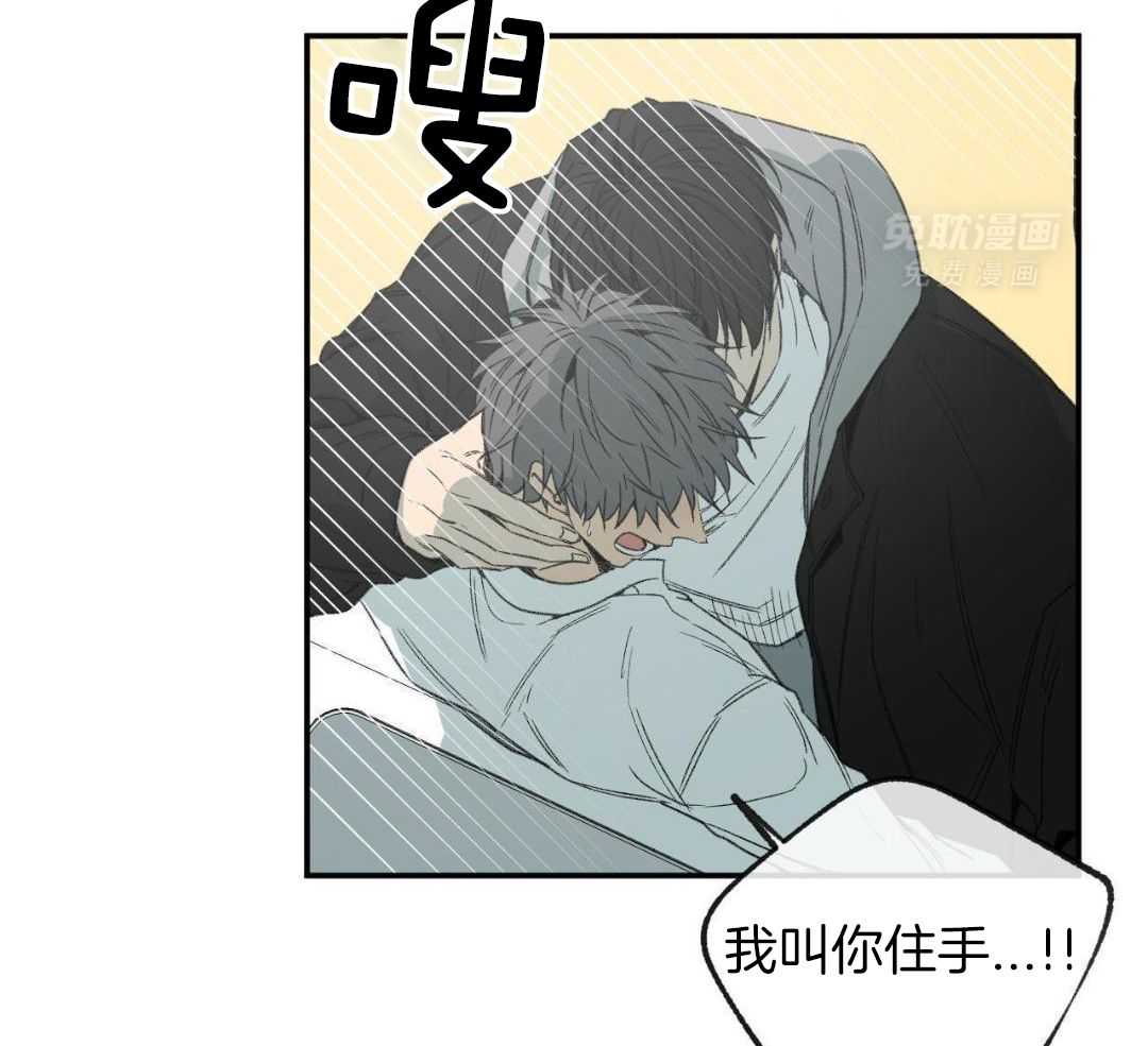 同情的形式（共3季） 第275话 第2页