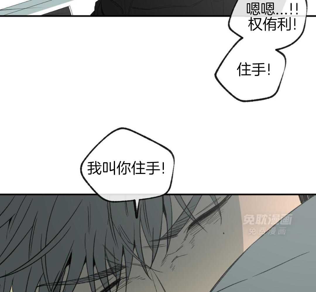 同情的形式（共3季） 第275话 第8页