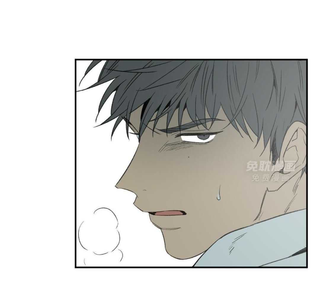 同情的形式（共3季） 第275话 第14页