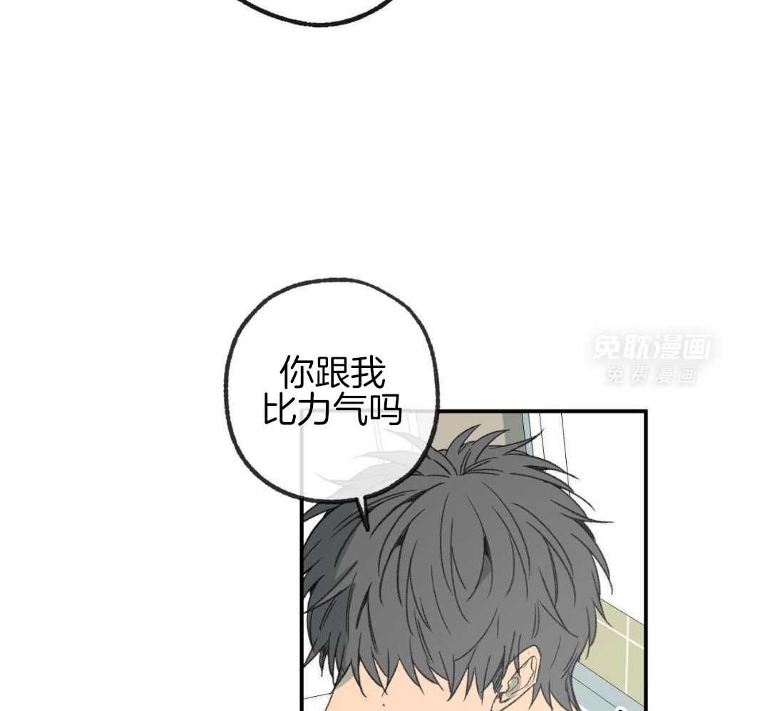 同情的形式（共3季） 第275话 第19页