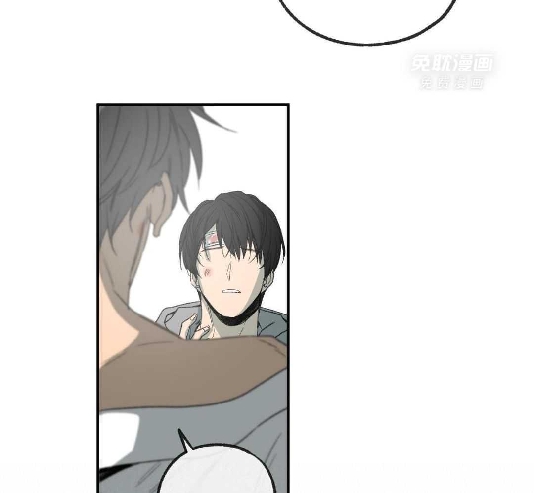 同情的形式（共3季） 第275话 第21页