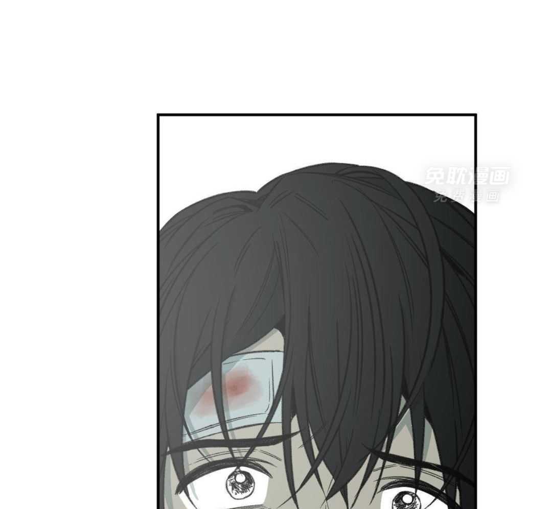 同情的形式（共3季） 第275话 第26页