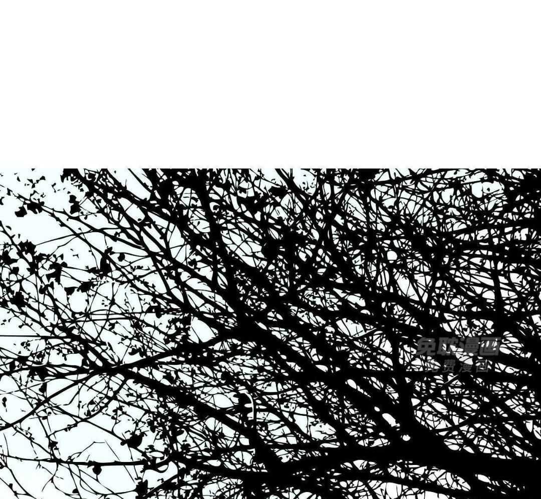 同情的形式（共3季） 第276话 第0页