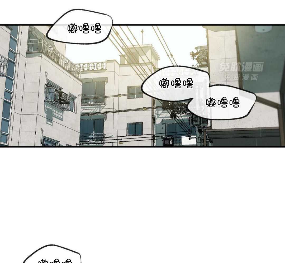 同情的形式（共3季） 第276话 第8页