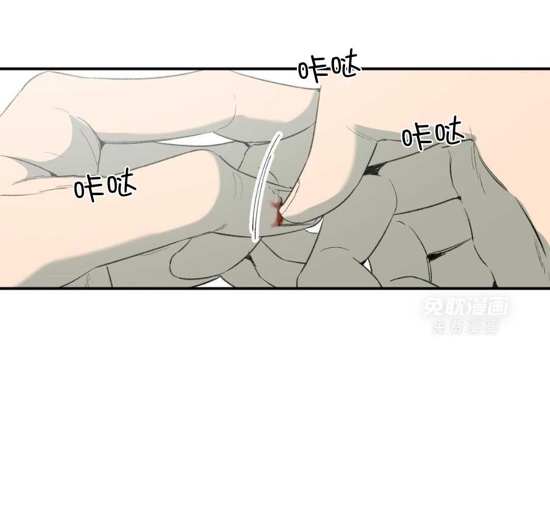 同情的形式（共3季） 第276话 第14页
