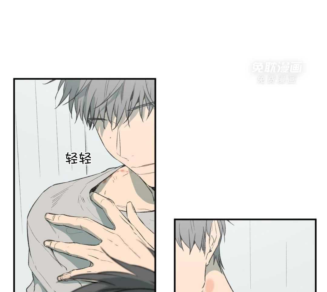 同情的形式（共3季） 第276话 第43页