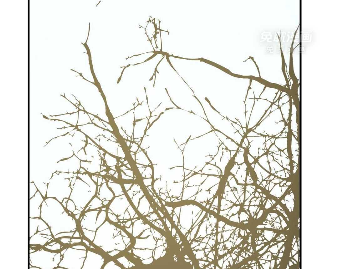 同情的形式（共3季） 第278话 第1页