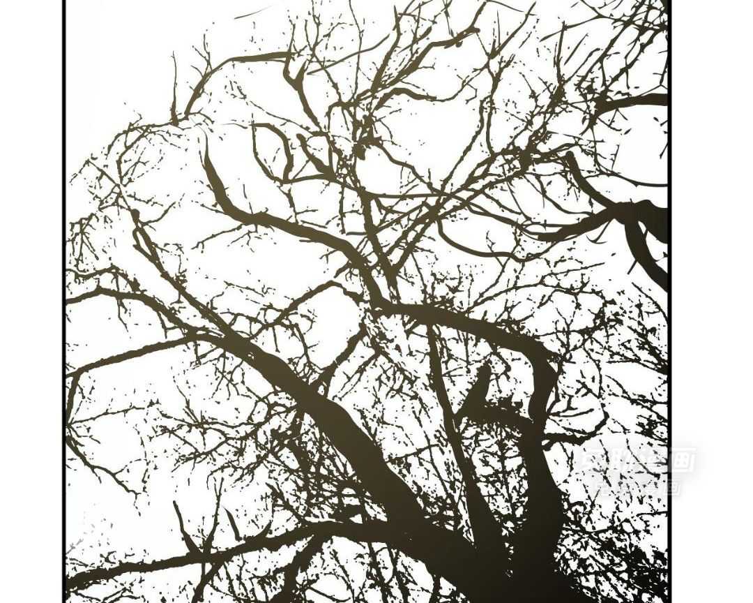 同情的形式（共3季） 第278话 第3页