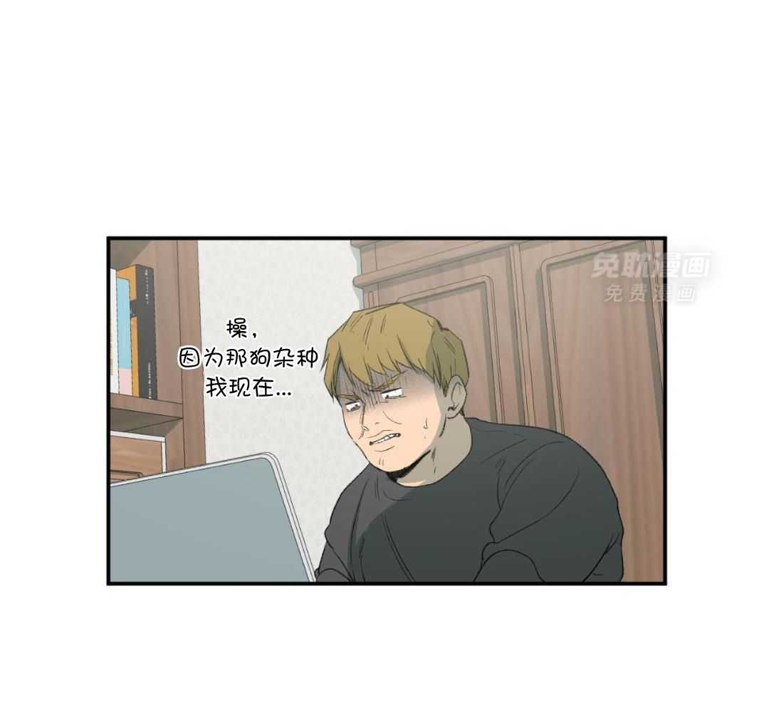 同情的形式（共3季） 第278话 第12页