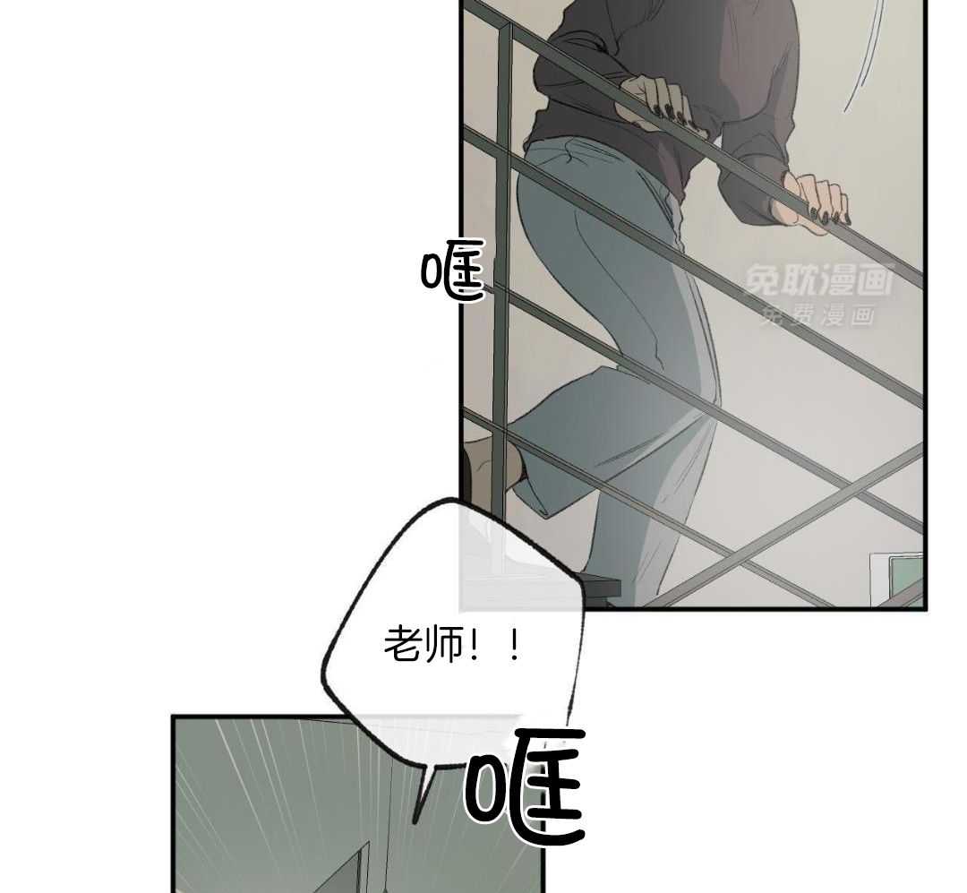 同情的形式（共3季） 第278话 第36页