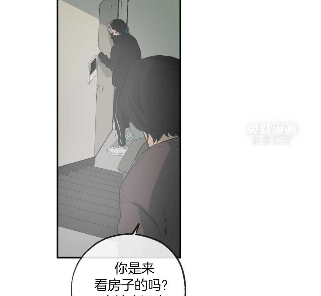 同情的形式（共3季） 第278话 第37页