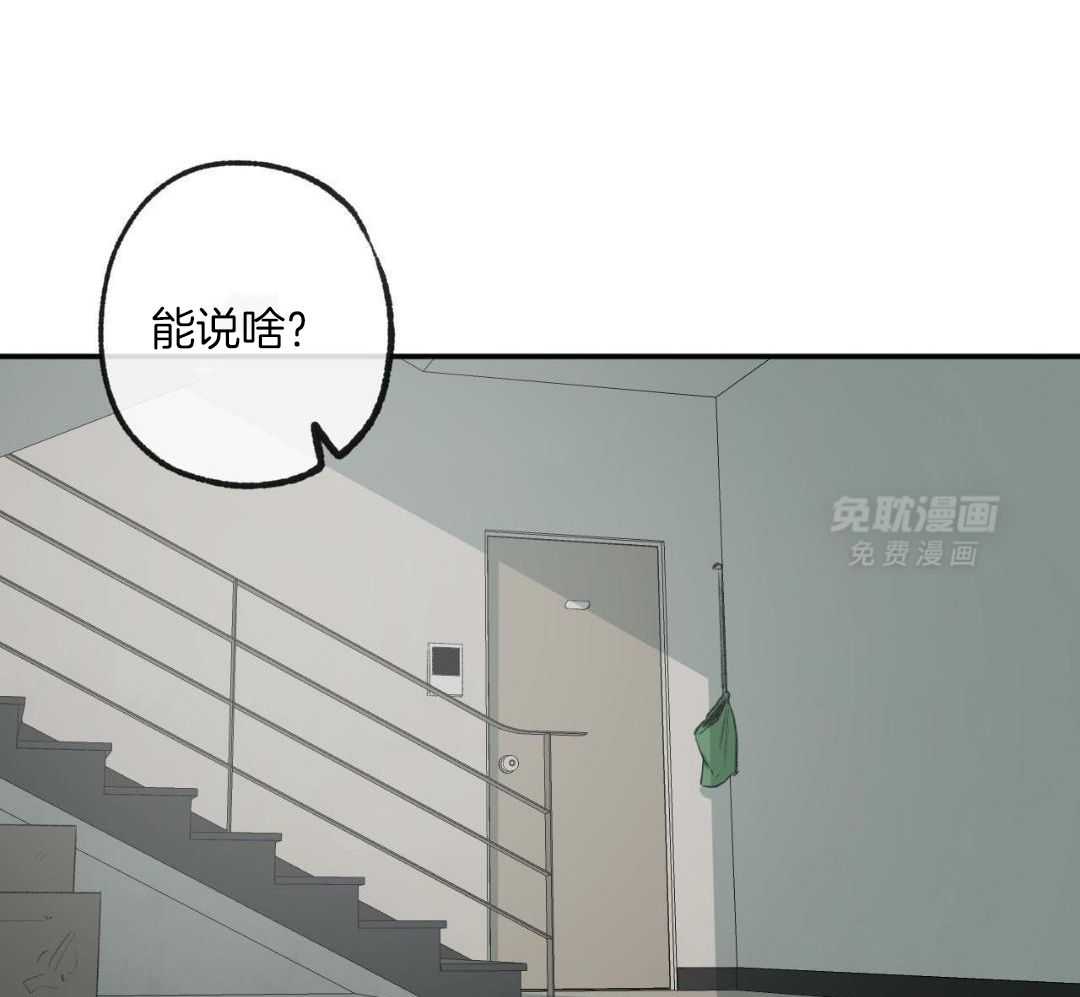 同情的形式（共3季） 第278话 第51页