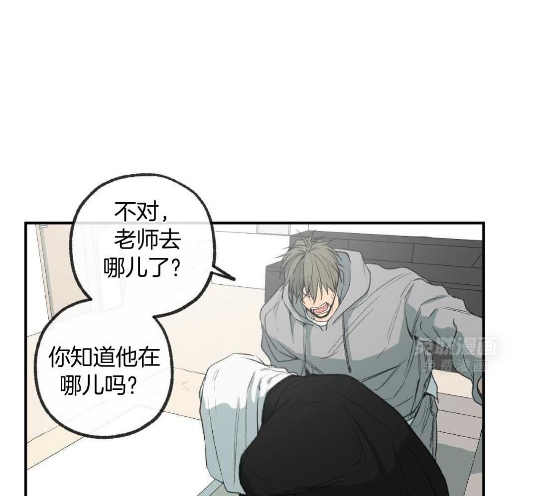 同情的形式（共3季） 第279话 第41页