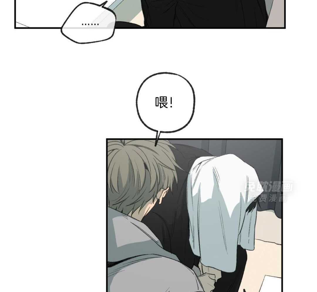 同情的形式（共3季） 第279话 第42页