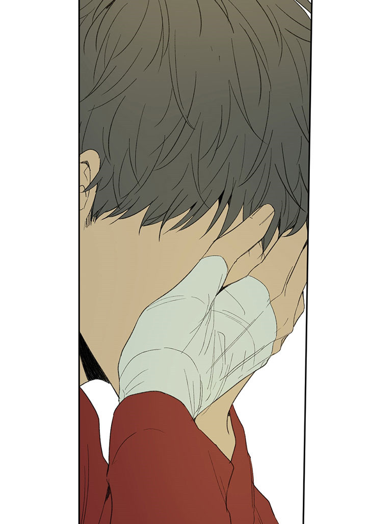 同情的形式（共3季） 第28话 第14页