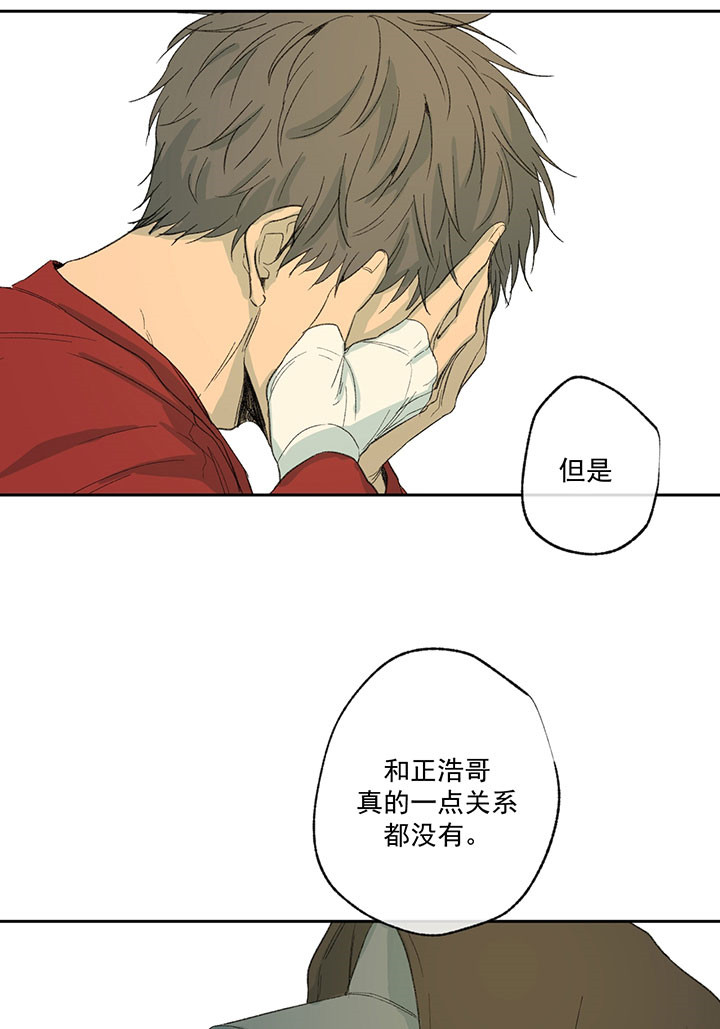 同情的形式（共3季） 第28话 第20页