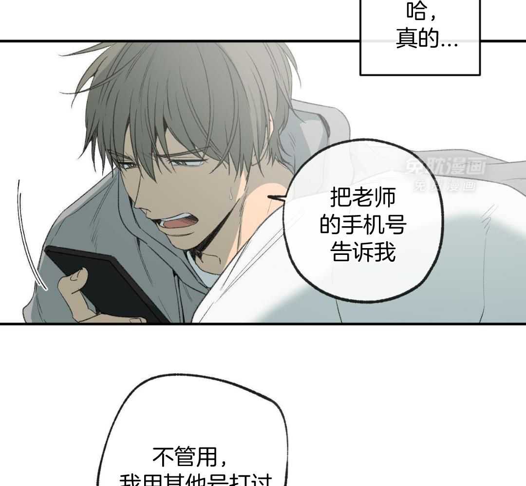 同情的形式（共3季） 第280话 第5页