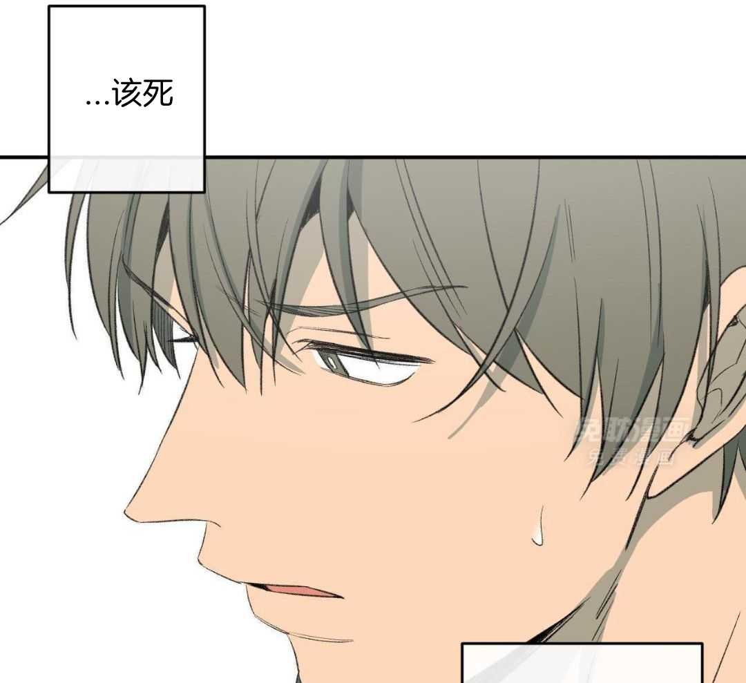 同情的形式（共3季） 第280话 第38页