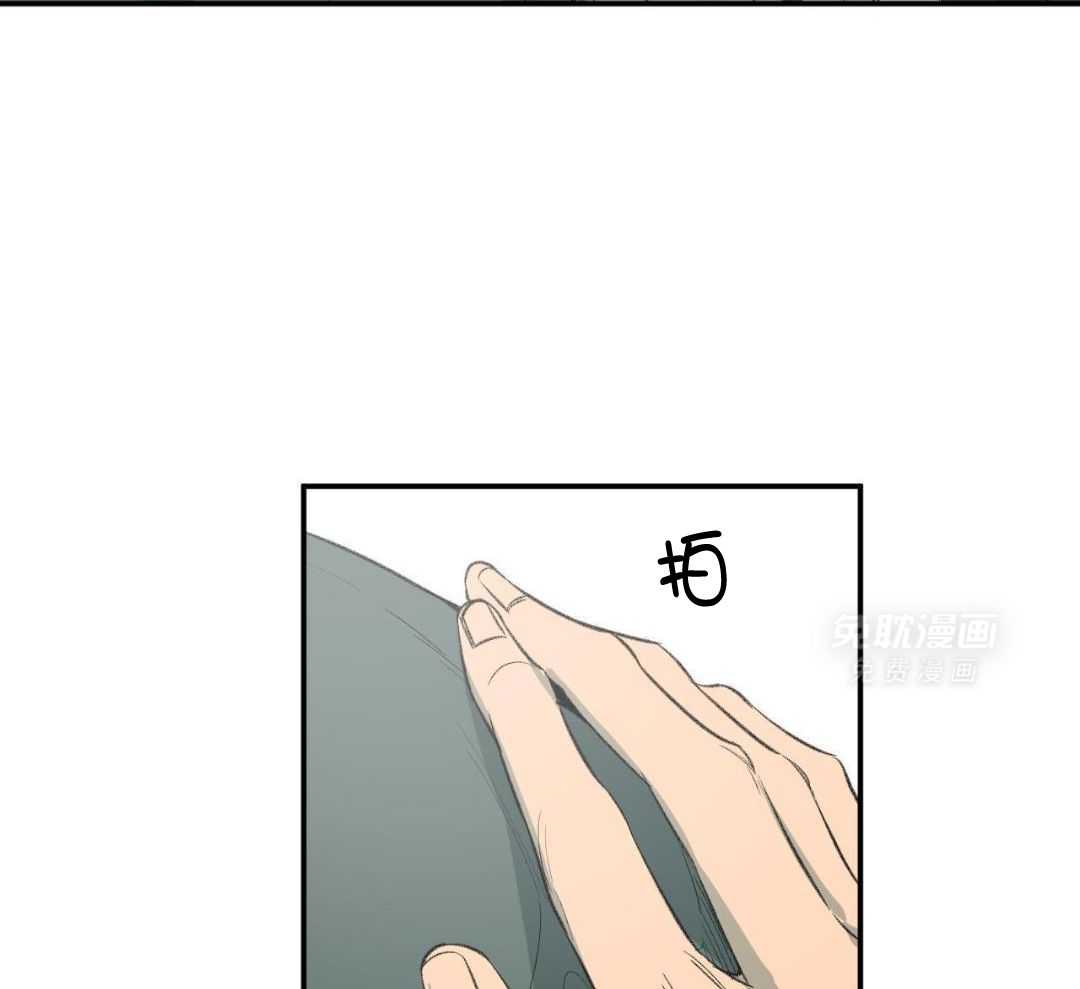 同情的形式（共3季） 第280话 第43页