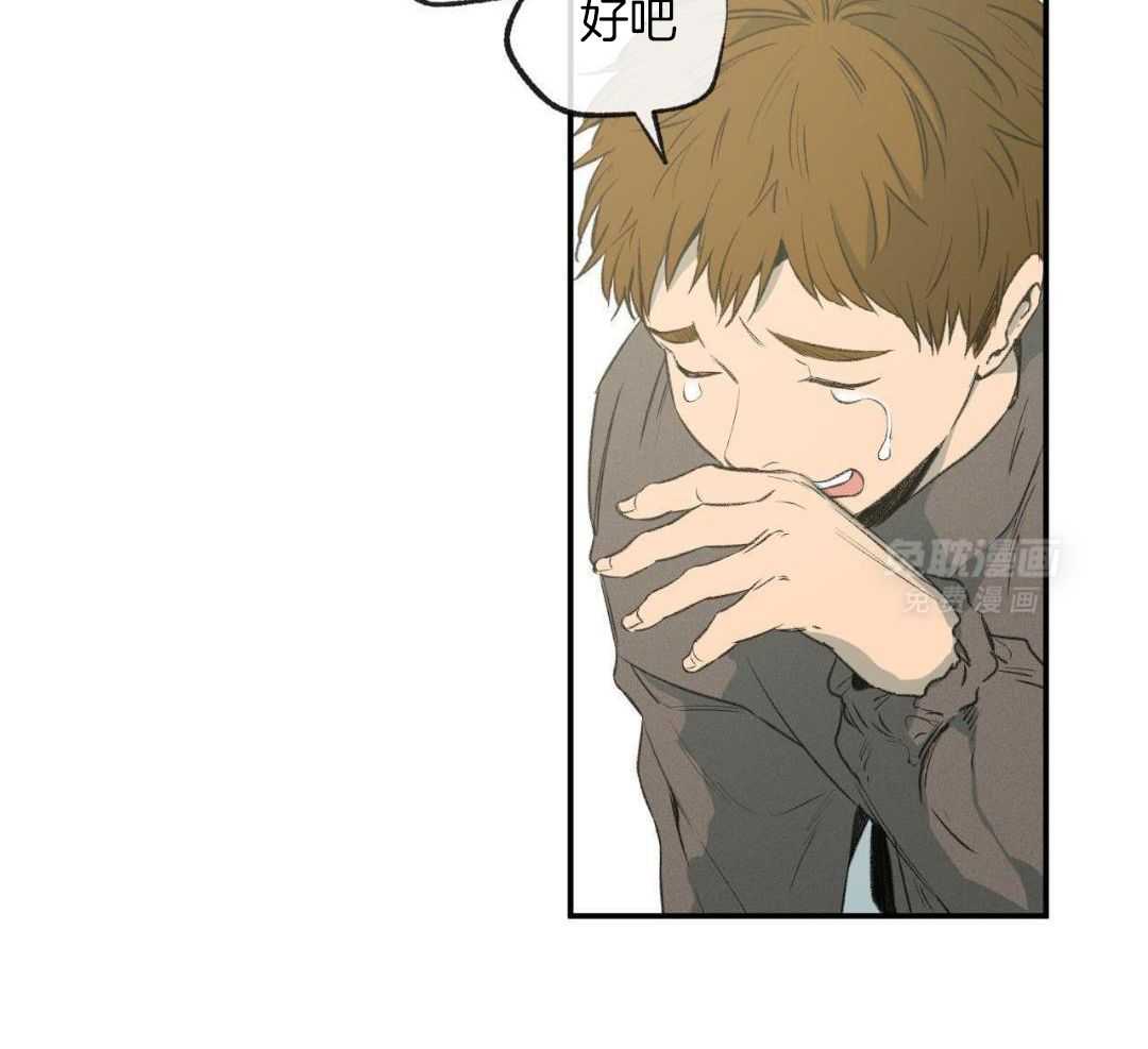 同情的形式（共3季） 第281话 第30页