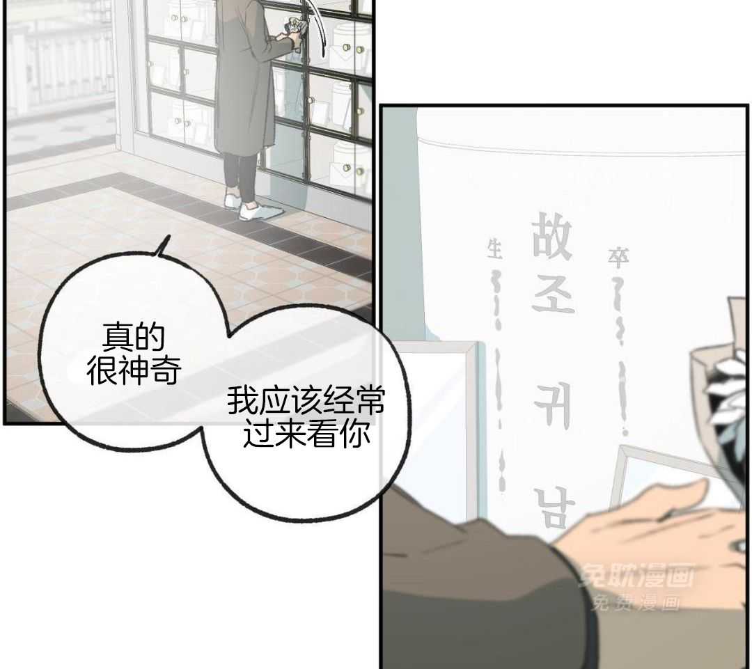 同情的形式（共3季） 第282话 第4页