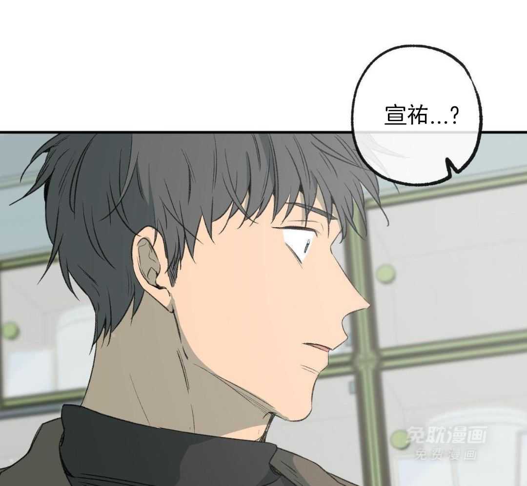 同情的形式（共3季） 第282话 第37页