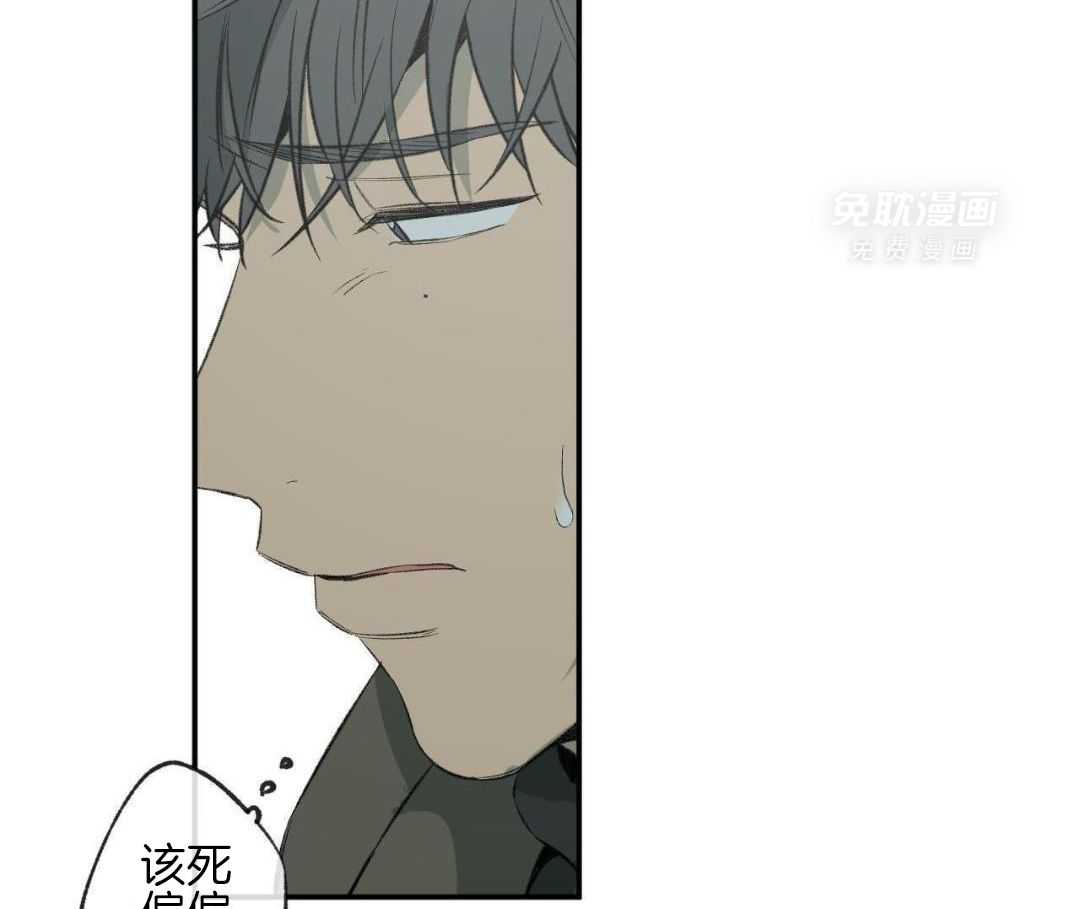 同情的形式（共3季） 第283话 第6页