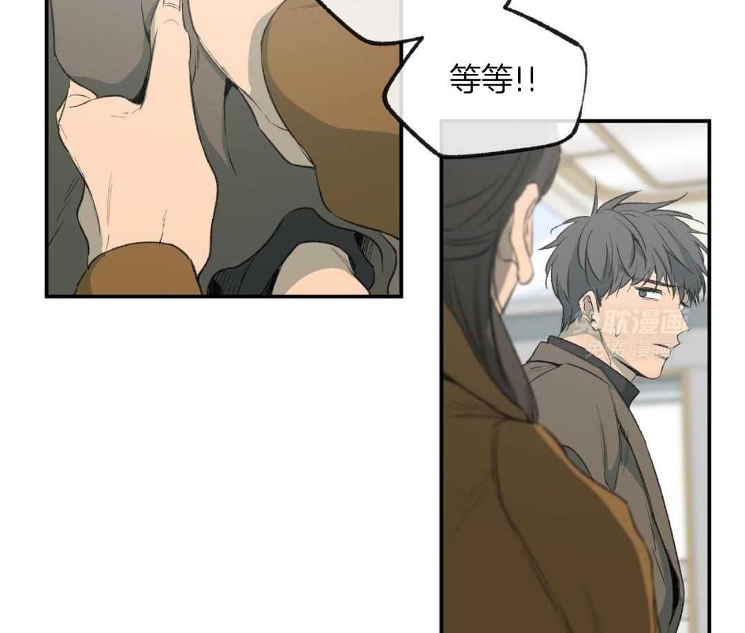 同情的形式（共3季） 第283话 第10页