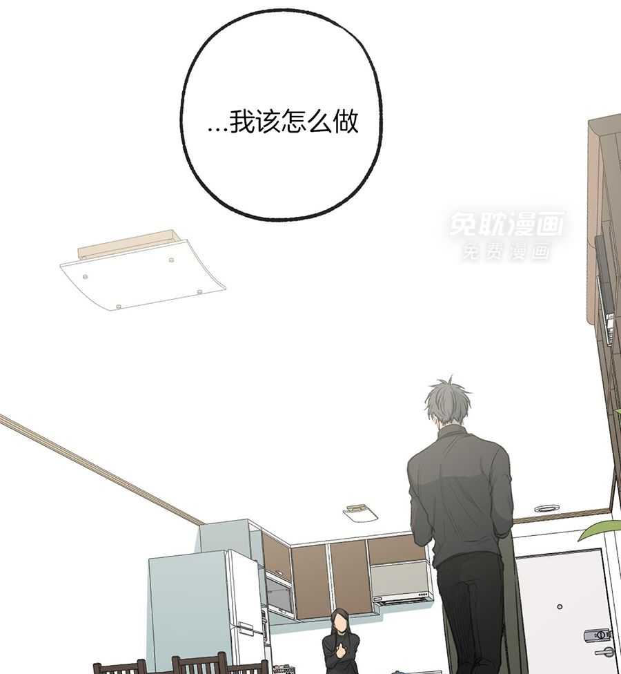 同情的形式（共3季） 第284话 第41页