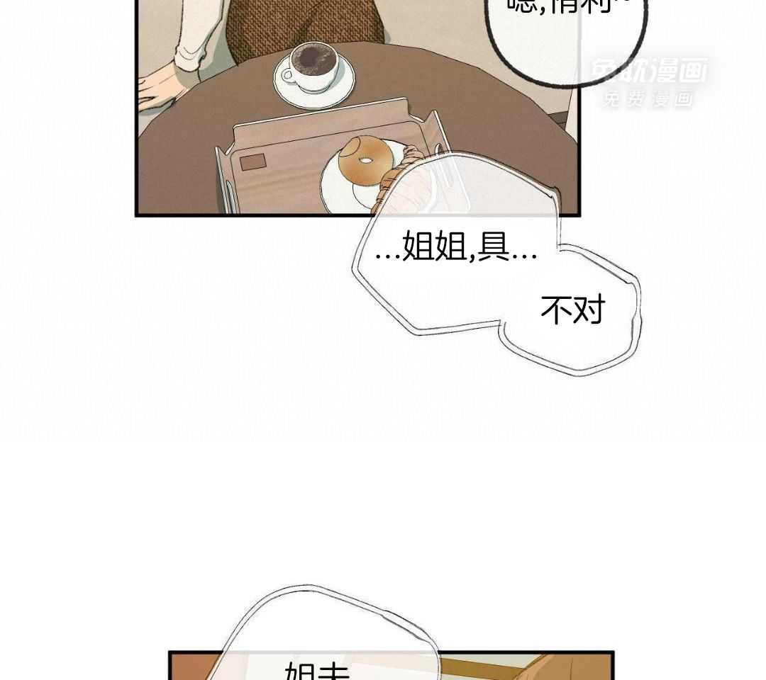 同情的形式（共3季） 第288话 第13页